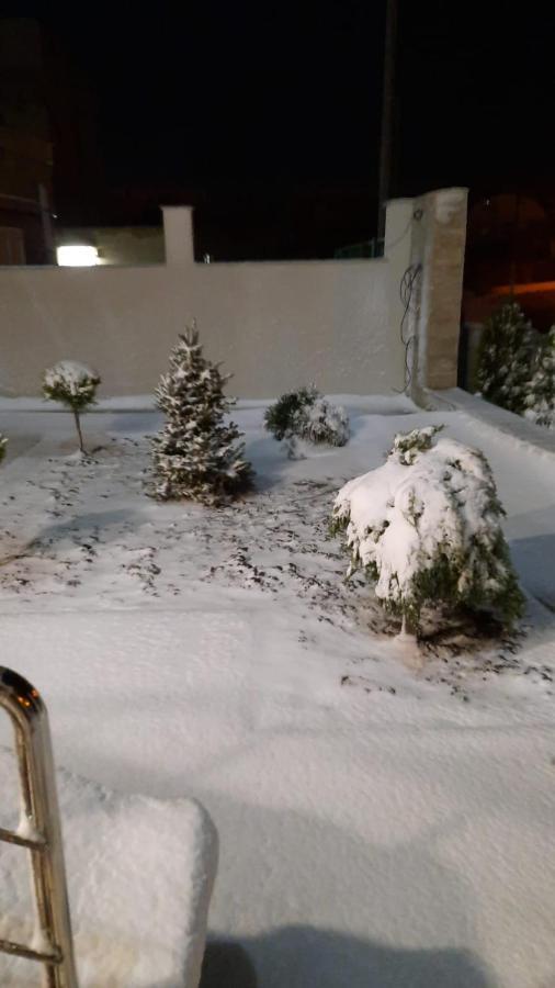 شقة Năvodari  في Casa Andi المظهر الخارجي الصورة