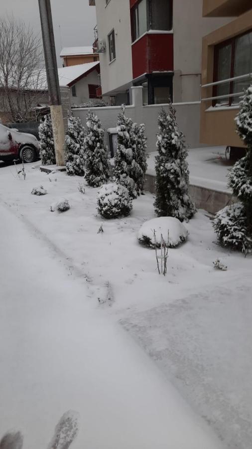 شقة Năvodari  في Casa Andi المظهر الخارجي الصورة