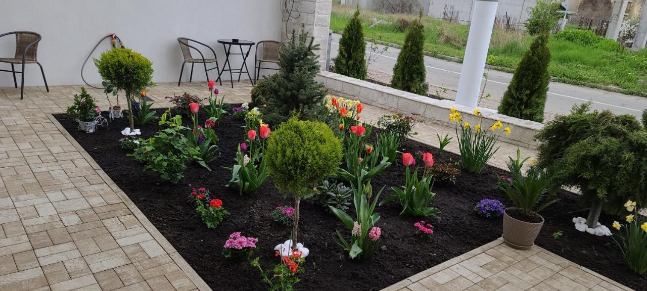 شقة Năvodari  في Casa Andi المظهر الخارجي الصورة